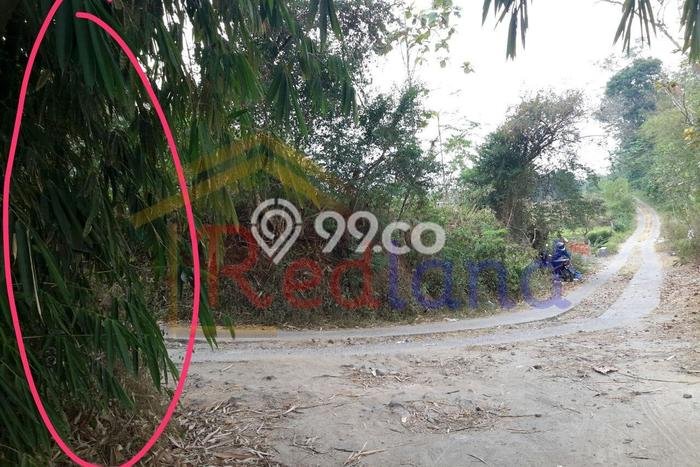 Tanah Kavling Dijual di Boja, Semarang dengan Luas Tanah 823m2 Tanah Kavling Dijual di Boja, Semarang dengan Luas Tanah 823m2