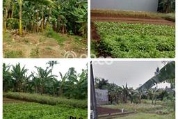 Untuk Dijual Tanah 1000m2 di Duri Kosambi, Jakarta Barat Untuk Dijual Tanah 1000m2 di Duri Kosambi, Jakarta Barat