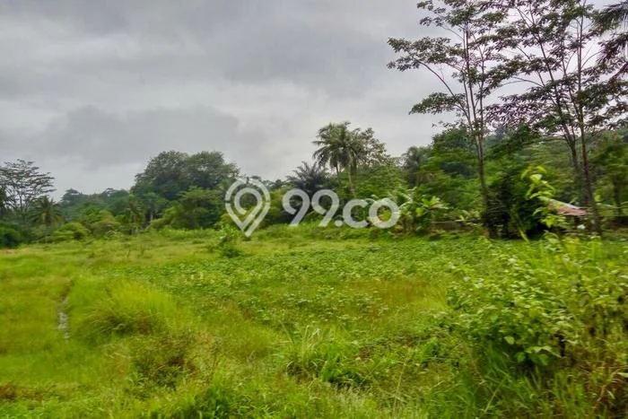 Untuk Dijual Tanah di Ciampea Bogor Luas 9538m2 SHM Untuk Dijual Tanah di Ciampea Bogor Luas 9538m2 SHM