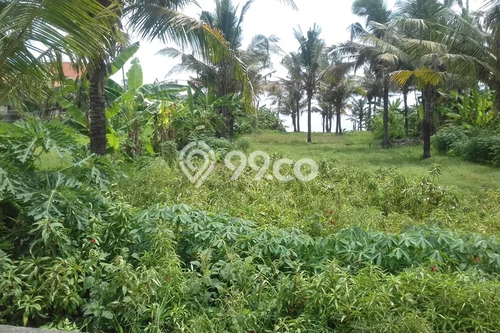 Kavling Tanah di Kerambitan Dijual Luas 1800m2 Legalitas SHM Kavling Tanah di Kerambitan Dijual Luas 1800m2 Legalitas SHM