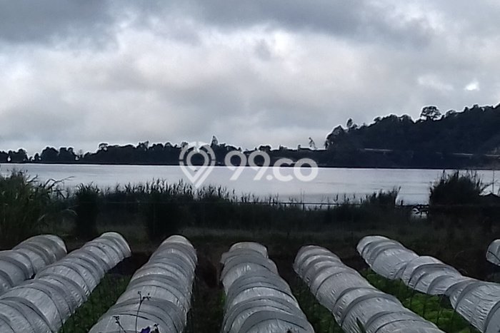 Tanah Dijual di Tabanan Seluas 2500m2 Strategis Tanah Dijual di Tabanan Seluas 2500m2 Strategis