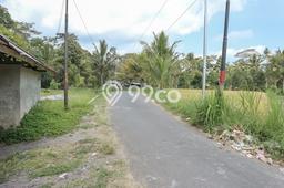 Kavling Tanah Dijual di Ubud, Gianyar, Luas 58000m2 Area Strategis Kavling Tanah Dijual di Ubud, Gianyar, Luas 58000m2 Area Strategis