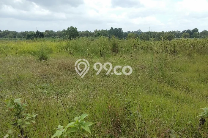 Tanah Kavling untuk Dijual di Tigaraksa Tangerang 9000m2 Tanah Kavling untuk Dijual di Tigaraksa Tangerang 9000m2