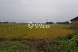 Lahan Dijual Lokasi Wonosari, Klaten dengan Luas Tanah 2226m2 dan Status SHM Lahan Dijual Lokasi Wonosari, Klaten dengan Luas Tanah 2226m2 dan Status SHM