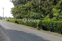 For Sale Tanah di Jaten, Luas 534m², Akses Jaten, Karanganyar, Karanganyar For Sale Tanah di Jaten, Luas 534m², Akses Jaten, Karanganyar, Karanganyar