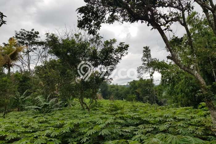 HARGA TERBAIK! Tanah di Cikembar, Luas 9588m², Lokasi Strategis HARGA TERBAIK! Tanah di Cikembar, Luas 9588m², Lokasi Strategis