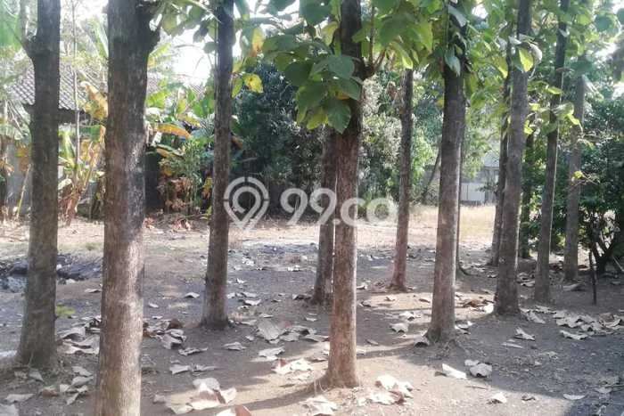 Tanah Kavling untuk Dijual di Sepatan Tangerang 1323m2 Tanah Kavling untuk Dijual di Sepatan Tangerang 1323m2