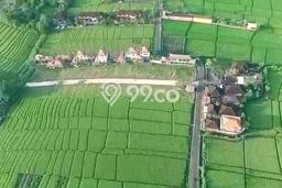 Tanah super cantik kompleks vila dekat pantai Tanah super cantik kompleks vila dekat pantai