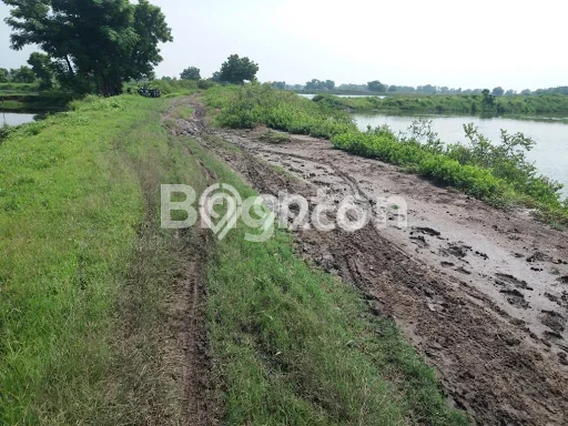 Jarang Ada! Tanah di Bangil Punya Luas 70000m2 SHM Jarang Ada! Tanah di Bangil Punya Luas 70000m2 SHM