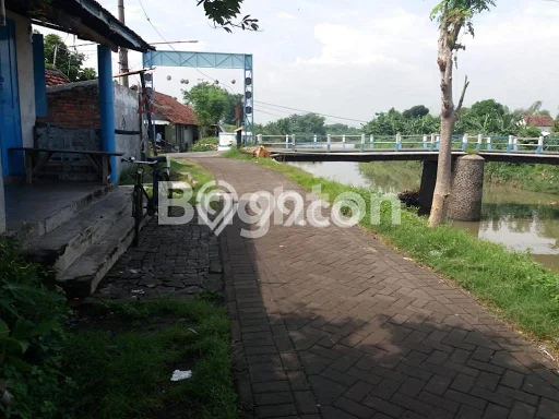 Jarang Ada! Tanah di Bangil Punya Luas 70000m2 SHM Jarang Ada! Tanah di Bangil Punya Luas 70000m2 SHM