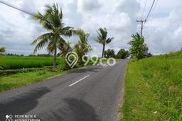 Untuk Dijual Tanah 2825m2 di Kaba kaba, Tabanan Untuk Dijual Tanah 2825m2 di Kaba kaba, Tabanan
