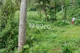 For Sale Tanah Kawasan Cianjur Kota, Luas 4578m², Area Potensial For Sale Tanah Kawasan Cianjur Kota, Luas 4578m², Area Potensial