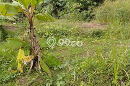 Tanah Dijual Area Strategis di Pulo Merak Cilegon 1100m2 Tanah Dijual Area Strategis di Pulo Merak Cilegon 1100m2