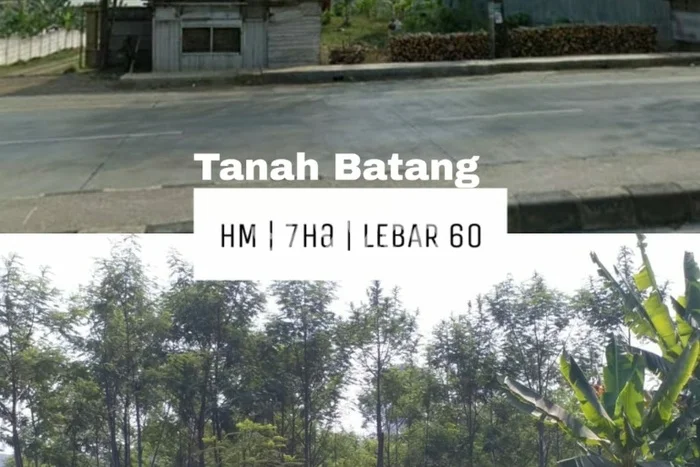 Kavling Tanah Dijual di Gringsing, Batang, Luas 7000m2 Area Strategis Kavling Tanah Dijual di Gringsing, Batang, Luas 7000m2 Area Strategis