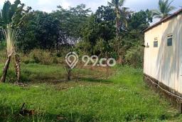 Untuk Dijual Tanah di Gunung Sindur Bogor Luas 350m2 - Untuk Dijual Tanah di Gunung Sindur Bogor Luas 350m2 -