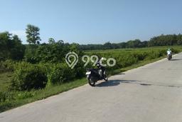 Lahan untuk Dijual di Miri Sragen Luas 10250m2 Lahan untuk Dijual di Miri Sragen Luas 10250m2