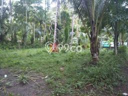 Tanah Area Berkembang Kawasan Paksebali, Luas 600m2m², Akses ke Pusat Kota, Dekat Paksebali, Semarapura, Semarapura Tanah Area Berkembang Kawasan Paksebali, Luas 600m2m², Akses ke Pusat Kota, Dekat Paksebali, Semarapura, Semarapura