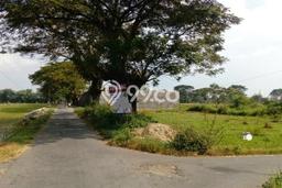 Tanah Dijual Lokasi Sukoharjo Sukoharjo SHM Tanah Dijual Lokasi Sukoharjo Sukoharjo SHM