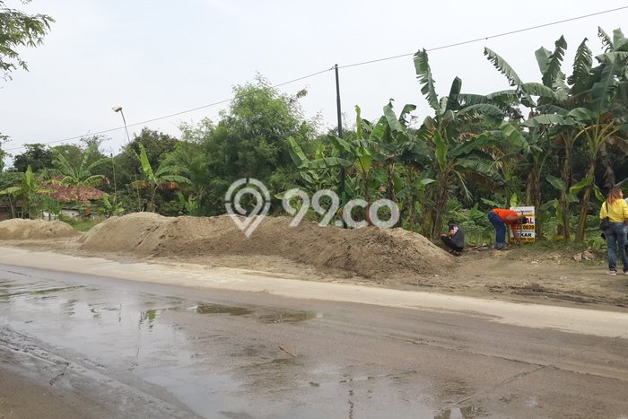 Lahan Kosong Dijual di Maja, Lebak, Luas 4786m2 Area Strategis Lahan Kosong Dijual di Maja, Lebak, Luas 4786m2 Area Strategis