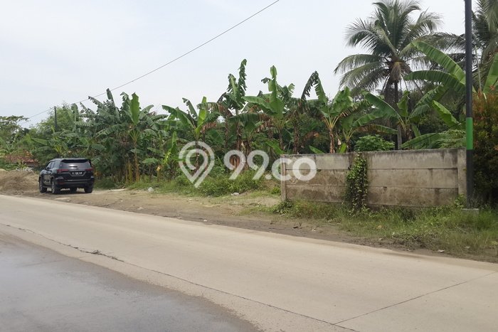 Lahan Kosong Dijual di Maja, Lebak, Luas 4786m2 Area Strategis Lahan Kosong Dijual di Maja, Lebak, Luas 4786m2 Area Strategis