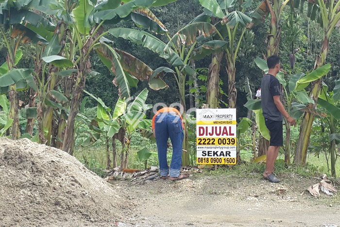 Lahan Kosong Dijual di Maja, Lebak, Luas 4786m2 Area Strategis Lahan Kosong Dijual di Maja, Lebak, Luas 4786m2 Area Strategis