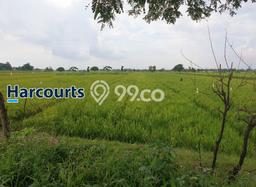 Tanah di Baki, Sukoharjo Luas 2146m2 Dijual Segera Tanah di Baki, Sukoharjo Luas 2146m2 Dijual Segera
