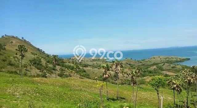 Tanah Dijual Lokasi Komodo, Manggarai Barat Luas 528m2 Legalitas Aman Tanah Dijual Lokasi Komodo, Manggarai Barat Luas 528m2 Legalitas Aman