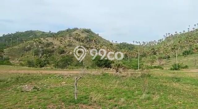 Tanah Kavling Dijual di Labuan Bajo, Manggarai Barat dengan Luas Tanah 528m2 Tanah Kavling Dijual di Labuan Bajo, Manggarai Barat dengan Luas Tanah 528m2