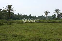 Jarang Ada! Tanah di Carita Punya Luas 480000m2 HGB Jarang Ada! Tanah di Carita Punya Luas 480000m2 HGB