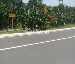 Tanah Premium Kawasan Ploso, Luas 100000m², Cocok untuk Investasi Tanah Premium Kawasan Ploso, Luas 100000m², Cocok untuk Investasi