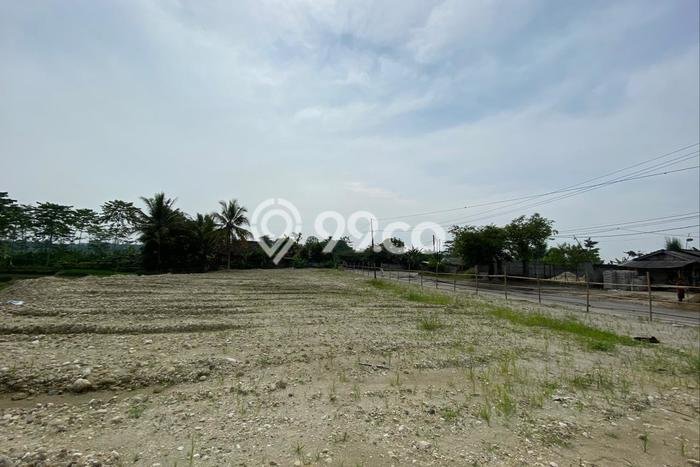 Kavling Tanah Dijual di Maja Lebak Spesifikasi 4786m2 Kavling Tanah Dijual di Maja Lebak Spesifikasi 4786m2