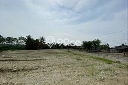 Kavling Tanah Dijual di Maja Lebak Spesifikasi 4786m2 Kavling Tanah Dijual di Maja Lebak Spesifikasi 4786m2
