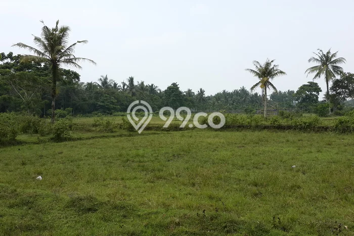 Kavling Tanah di Carita Dijual Luas 480000m2 Legalitas HGB Kavling Tanah di Carita Dijual Luas 480000m2 Legalitas HGB