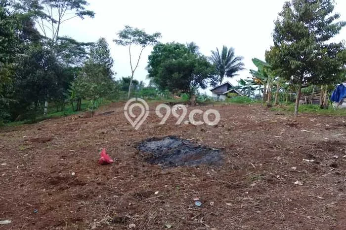 Tanah Komersial Dijual di Ciomas Serang 5781m2 Tanah Komersial Dijual di Ciomas Serang 5781m2
