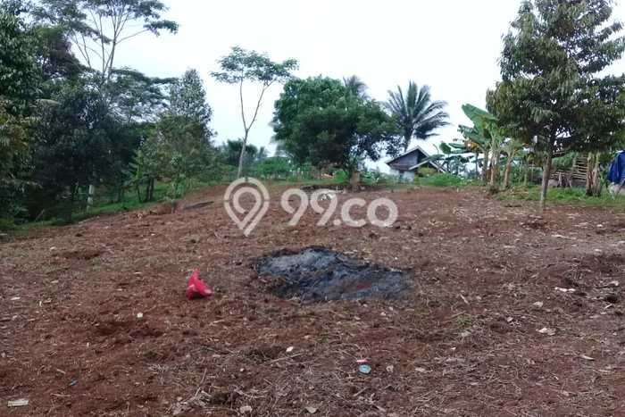 Tanah Komersial Dijual di Ciomas Serang 5781m2 Tanah Komersial Dijual di Ciomas Serang 5781m2