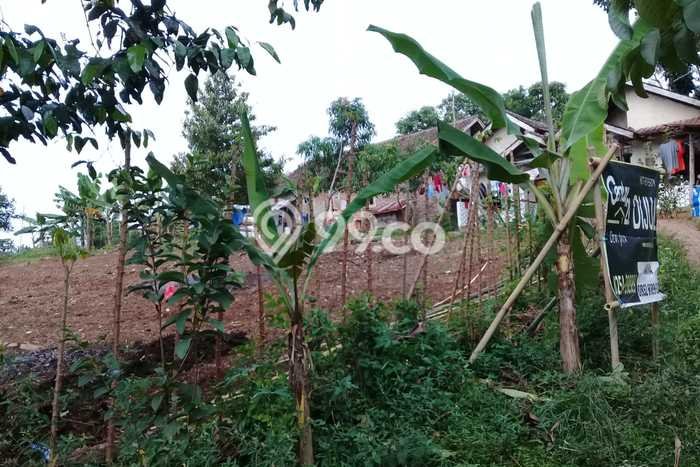 Tanah Komersial Dijual di Ciomas Serang 5781m2 Tanah Komersial Dijual di Ciomas Serang 5781m2