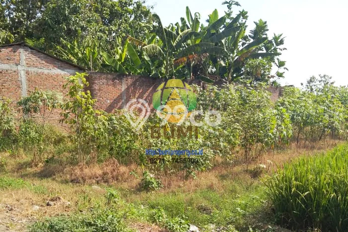 Untuk Dijual Tanah di Jaten Karanganyar Luas 300m2 SHM Untuk Dijual Tanah di Jaten Karanganyar Luas 300m2 SHM