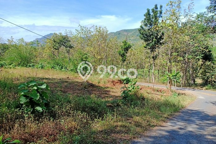 Dijual Tanah di Tawangsari Sukoharjo Luas 2400m2 SHM Dijual Tanah di Tawangsari Sukoharjo Luas 2400m2 SHM
