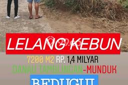 Tanah kebun super cantik di Bedugul harga murah Tanah kebun super cantik di Bedugul harga murah