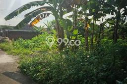 Tanah Dijual Lokasi Mojolaban, Sukoharjo dengan Luas Tanah 217m2 dan Status SHM Tanah Dijual Lokasi Mojolaban, Sukoharjo dengan Luas Tanah 217m2 dan Status SHM