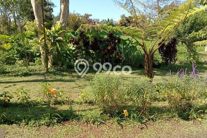 Dijual Tanah Lokasi Bedugul, Tabanan Seluas 16800m2 Dijual Tanah Lokasi Bedugul, Tabanan Seluas 16800m2