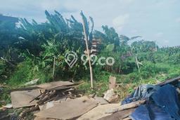 Tanah cantik cocok vila di canggu Tanah cantik cocok vila di canggu