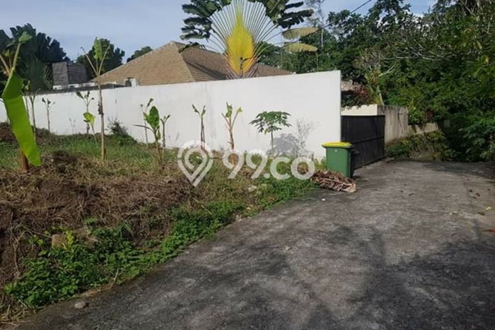 Tanah cantik view sawah cocok vila di canggu Tanah cantik view sawah cocok vila di canggu