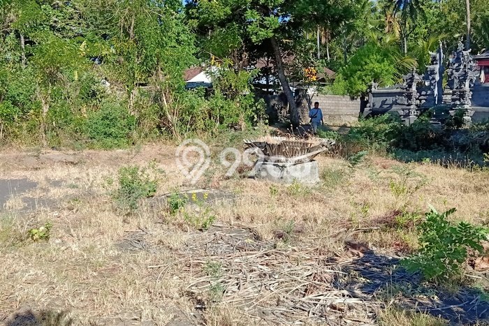 Tanah Kavling untuk Dijual di Tejakula Buleleng 700m2 Tanah Kavling untuk Dijual di Tejakula Buleleng 700m2
