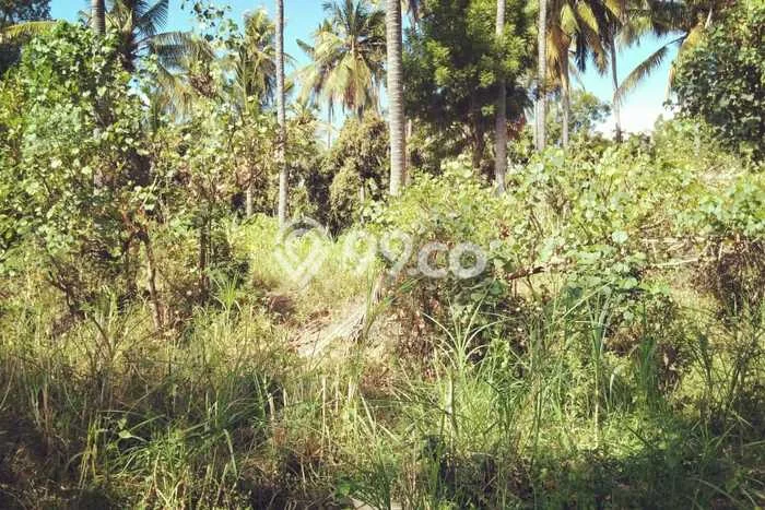 Kavling Tanah untuk Dijual di Bondalem, Buleleng, Luas 7700m2 Kavling Tanah untuk Dijual di Bondalem, Buleleng, Luas 7700m2