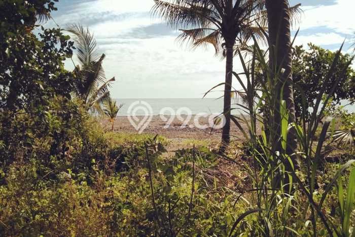 Kavling Tanah untuk Dijual di Bondalem, Buleleng, Luas 7700m2 Kavling Tanah untuk Dijual di Bondalem, Buleleng, Luas 7700m2