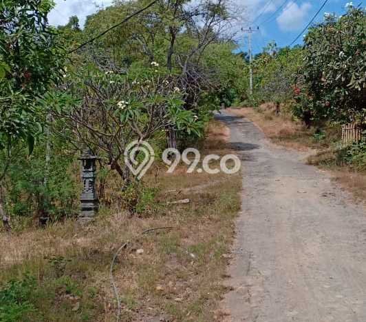 Untuk Dijual Tanah di Buleleng, Luas 46000m2 SHM Untuk Dijual Tanah di Buleleng, Luas 46000m2 SHM