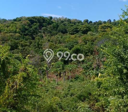 Untuk Dijual Tanah di Buleleng, Luas 46000m2 SHM Untuk Dijual Tanah di Buleleng, Luas 46000m2 SHM