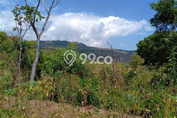 Untuk Dijual Tanah di Buleleng, Luas 46000m2 SHM Untuk Dijual Tanah di Buleleng, Luas 46000m2 SHM