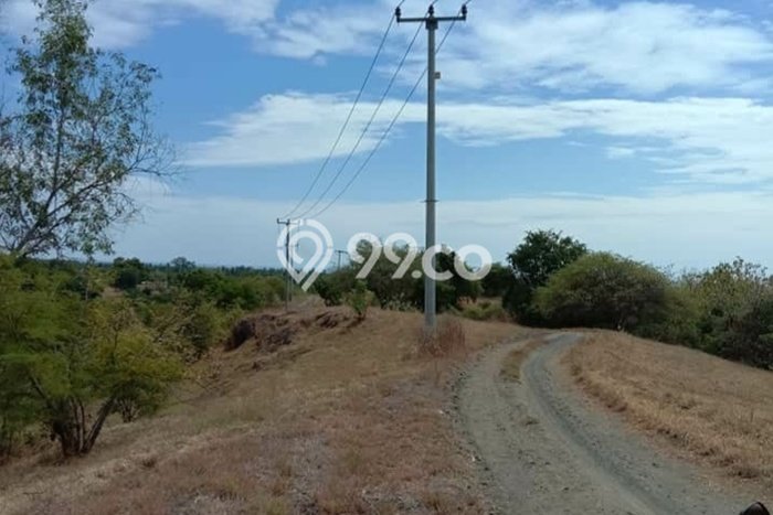 Tanah di Kubutambahan, Buleleng Luas 15000m2 Dijual Segera Tanah di Kubutambahan, Buleleng Luas 15000m2 Dijual Segera